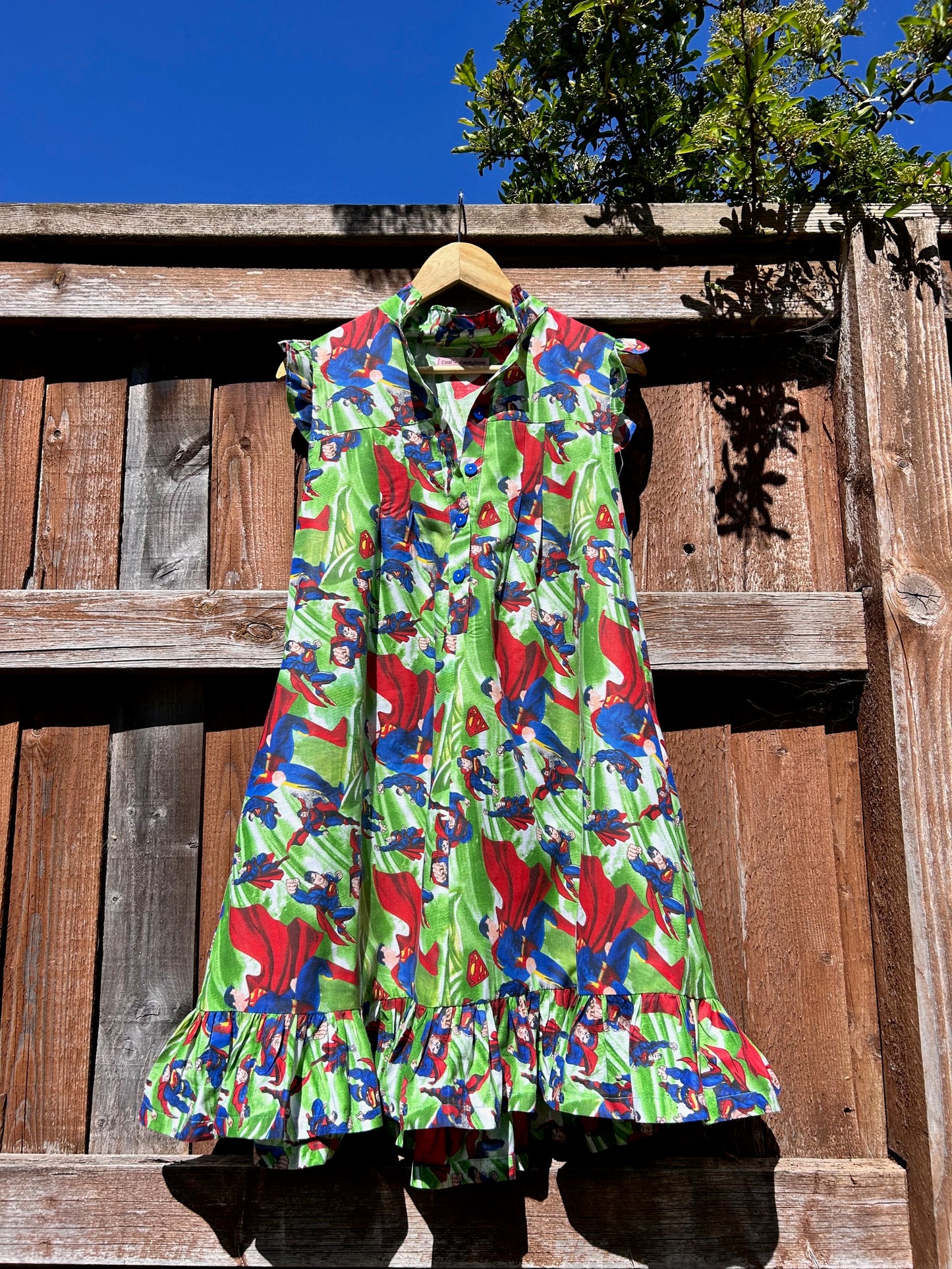 The Pollyanna dress - size 10